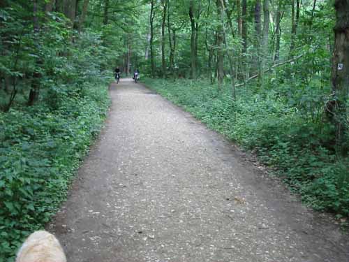 02 Weg zum Anwesen oder Dorf02.jpg