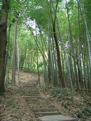 02 Treppe zum Schrein.jpg